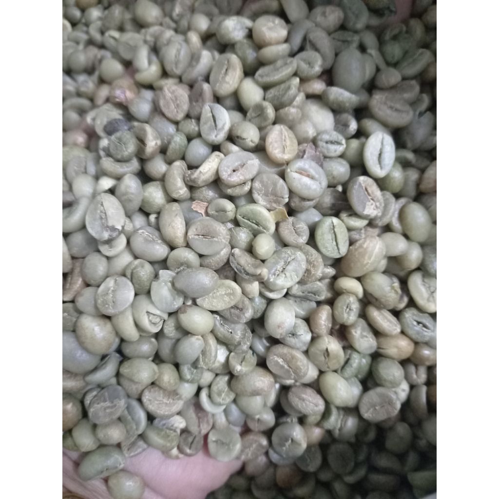 

PROMO MURAH,PAKET BIJI KOPI MENTAH ROBUSTA BIJI KECIL ASALAN KEMASAN 5KG