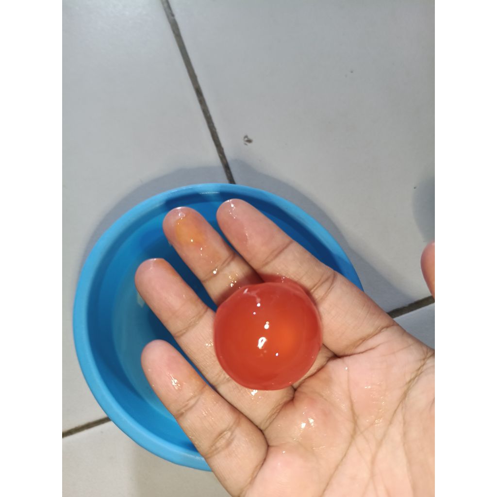 

Telur Asin Mentah Masir ISI 10 BUTIR