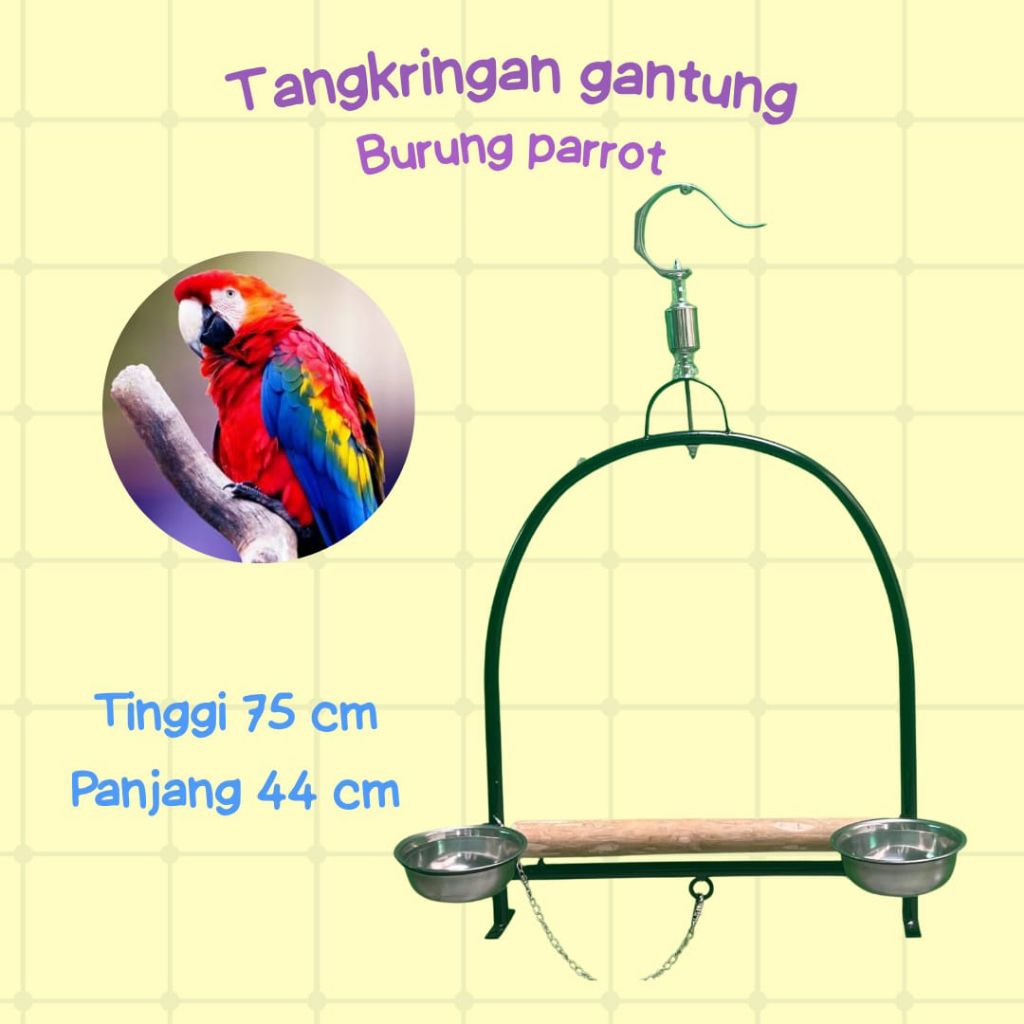 tangkringan burung parrot ,Nuri,falk