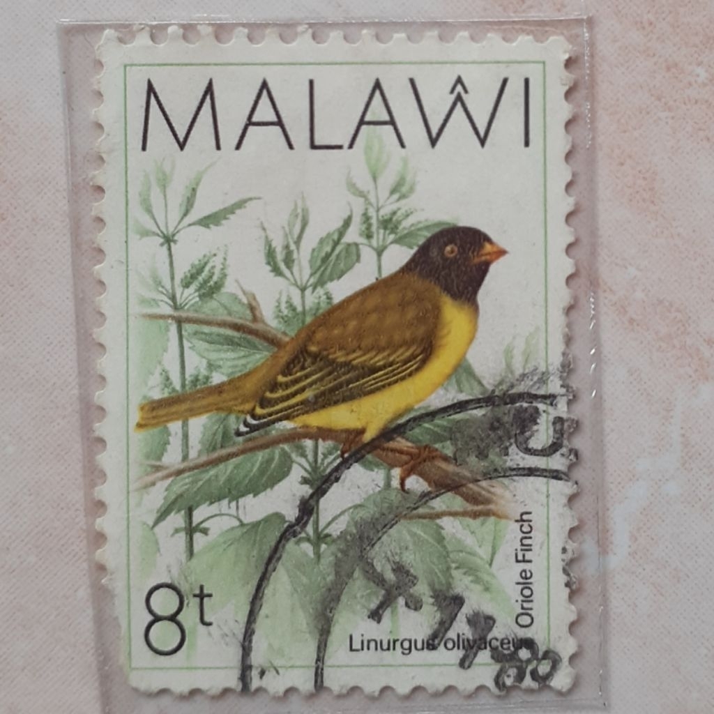 

Perangko Malawi Birds Definitives 1988-2002 (Oriole Finch (Linurgus olivaceus)) Tahun 1988