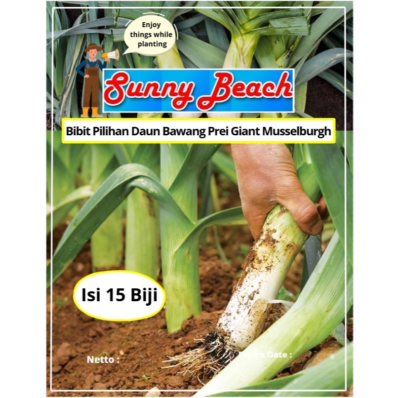 Bibit Pilihan Daun Bawang Prei Giant Musselburgh | Biji Benih Daun Bawang Prei Giant Musselburgh | D