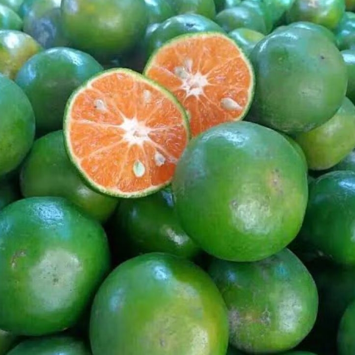 

Jeruk Peras/Jeruk Wedang Fresh 1 Kg