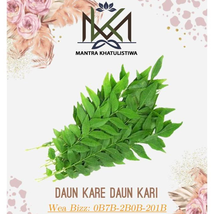 

DAUN KARI DAUN KARE SEGAR