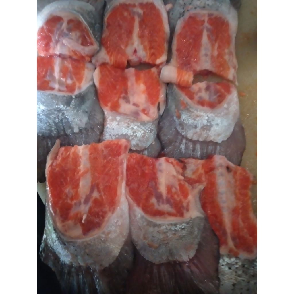 

EKOR SALMON 500GR