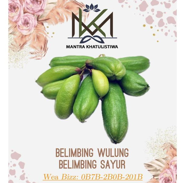 

BELIMBING WULUH BELIMBING SAYUR