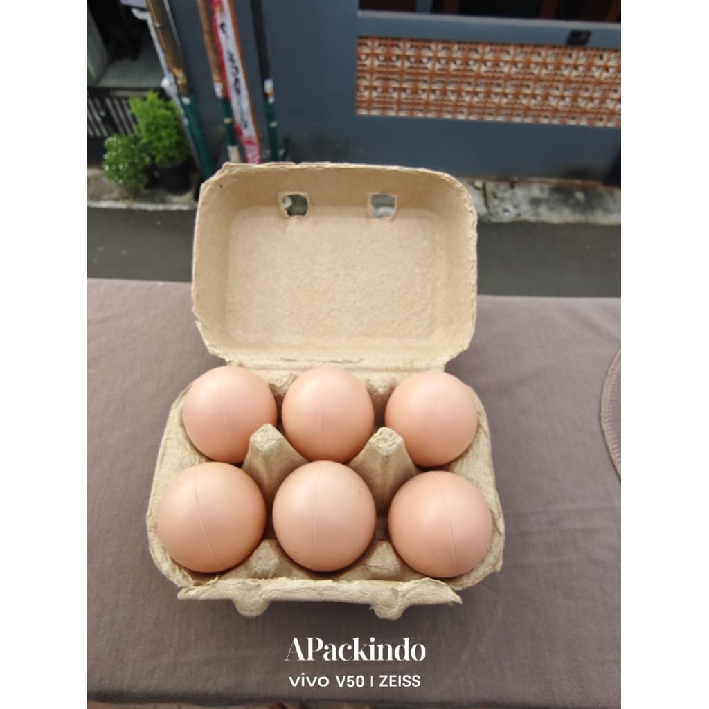 PEAPER EGG 6 LUBANG / BOX TELUR KARTON 50 PCS