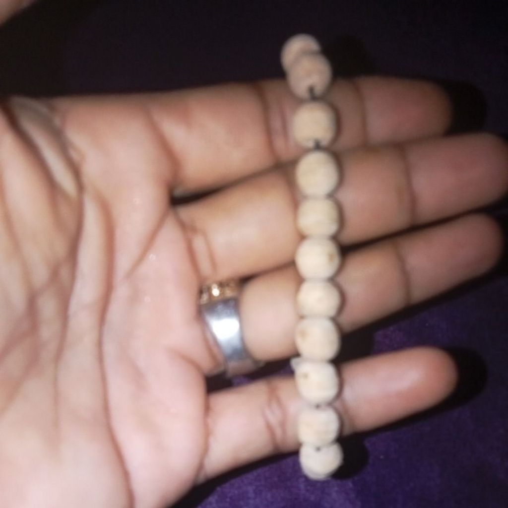Gelang bidara arab asli pria wanita