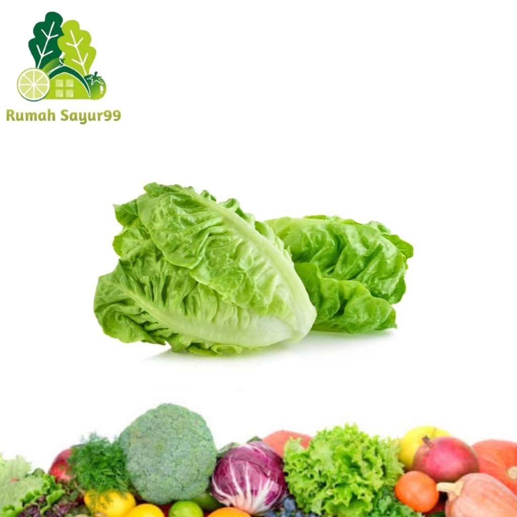 

Selada romaine lettuce romaine segar 250g - 1kg