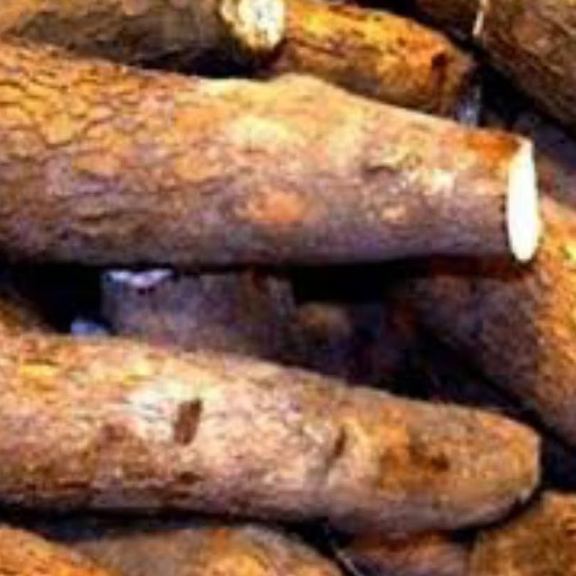 

singkong mentega 3kg