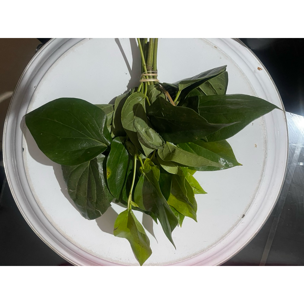 

Daun sirih 1 ikat