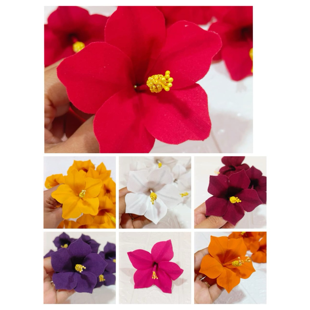 cucuk pucuk beludru size sedang | cucuk semanggi pucuk beludru