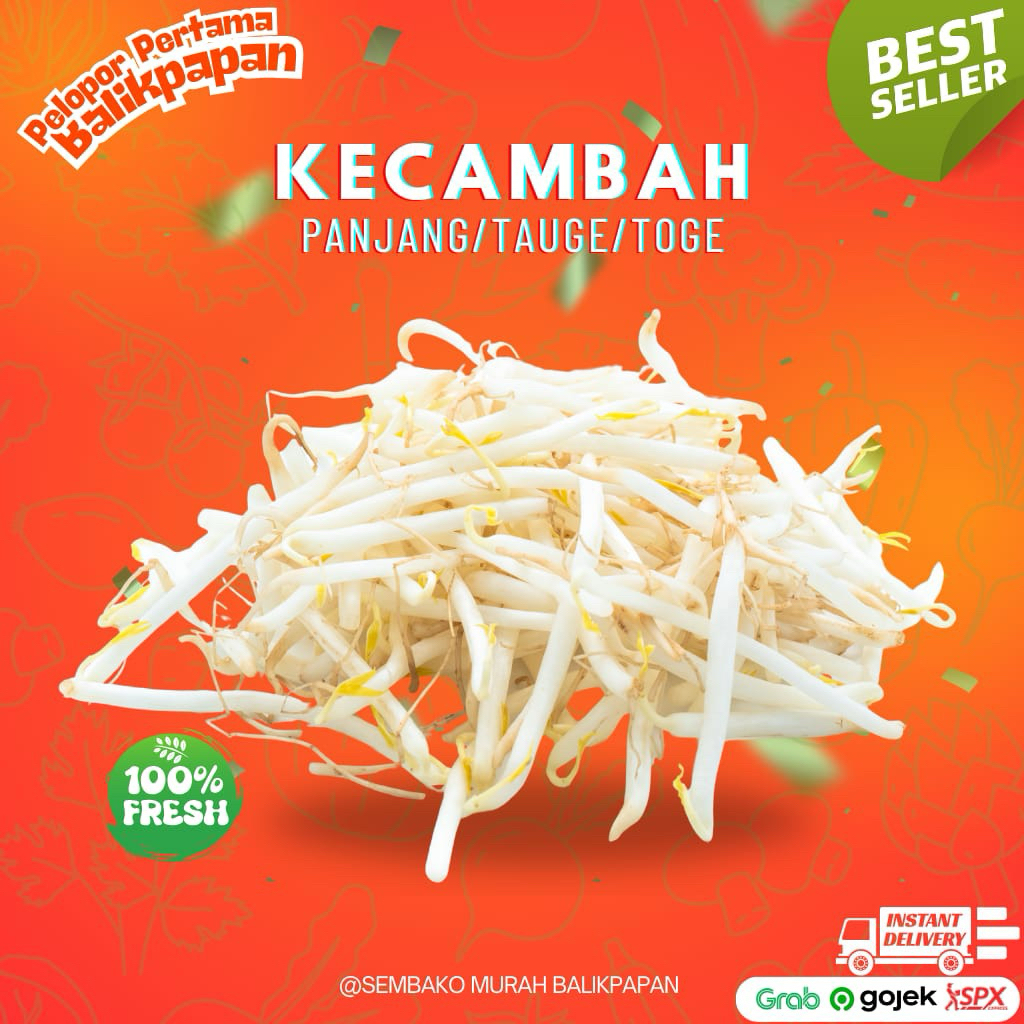 

kecambah panjang/tauge/toge