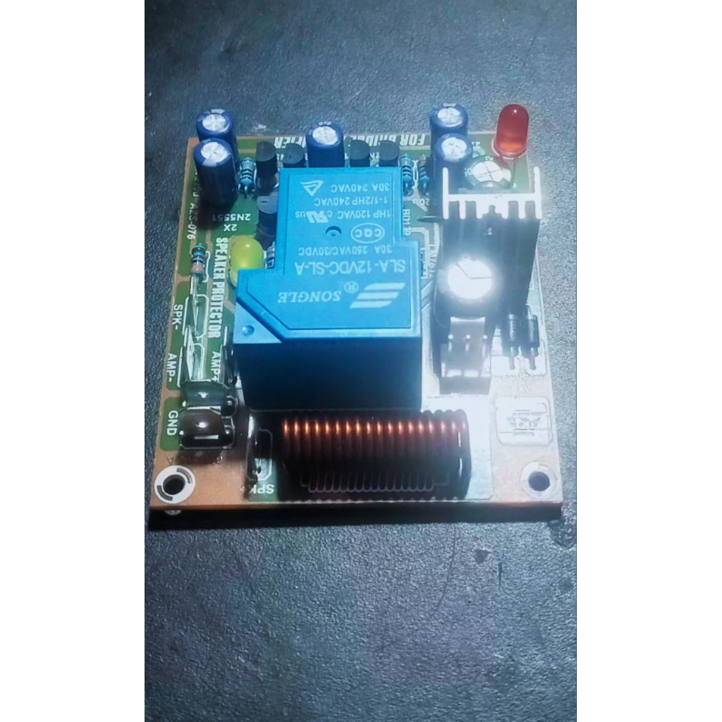 speaker protektor btl
