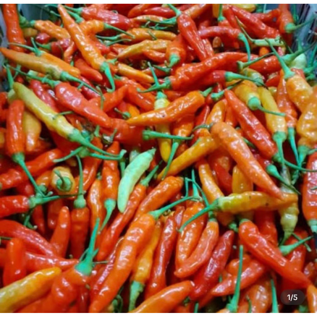 

CABE RAWIT DOMBA PEDAS&PESS 250grm/500grm