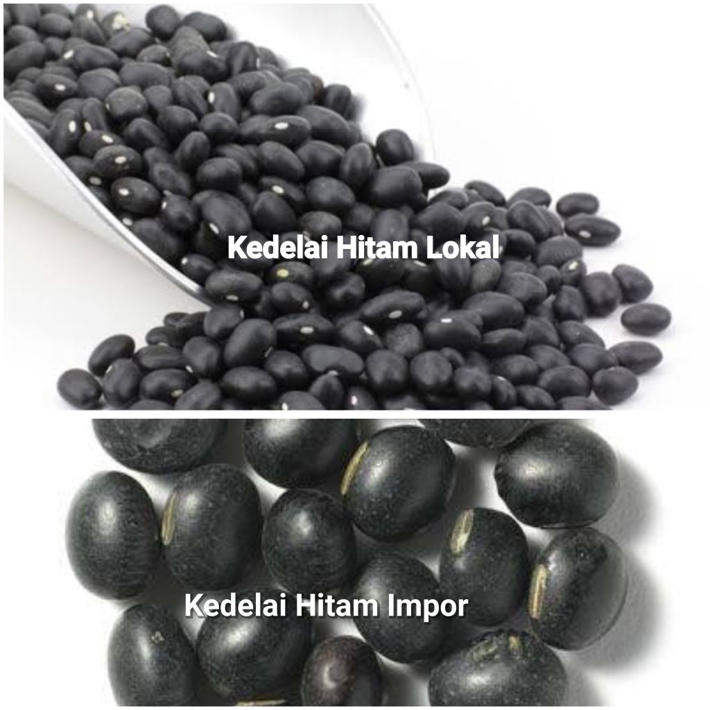 

Kedelai Hitam MPASI ORGANIK 50gr /100g / 250gr