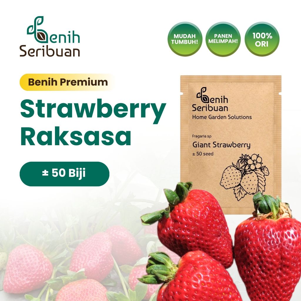 Benih Seribuan - Benih Buah Strawberry Jumbo Unggul