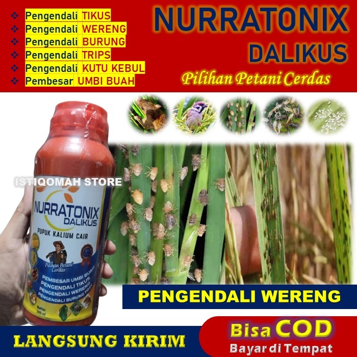 NURRATONIX DALIKUS 500ML obat hama padi terpercaya, pembasmi hama wereng batang coklat, solusi hama 