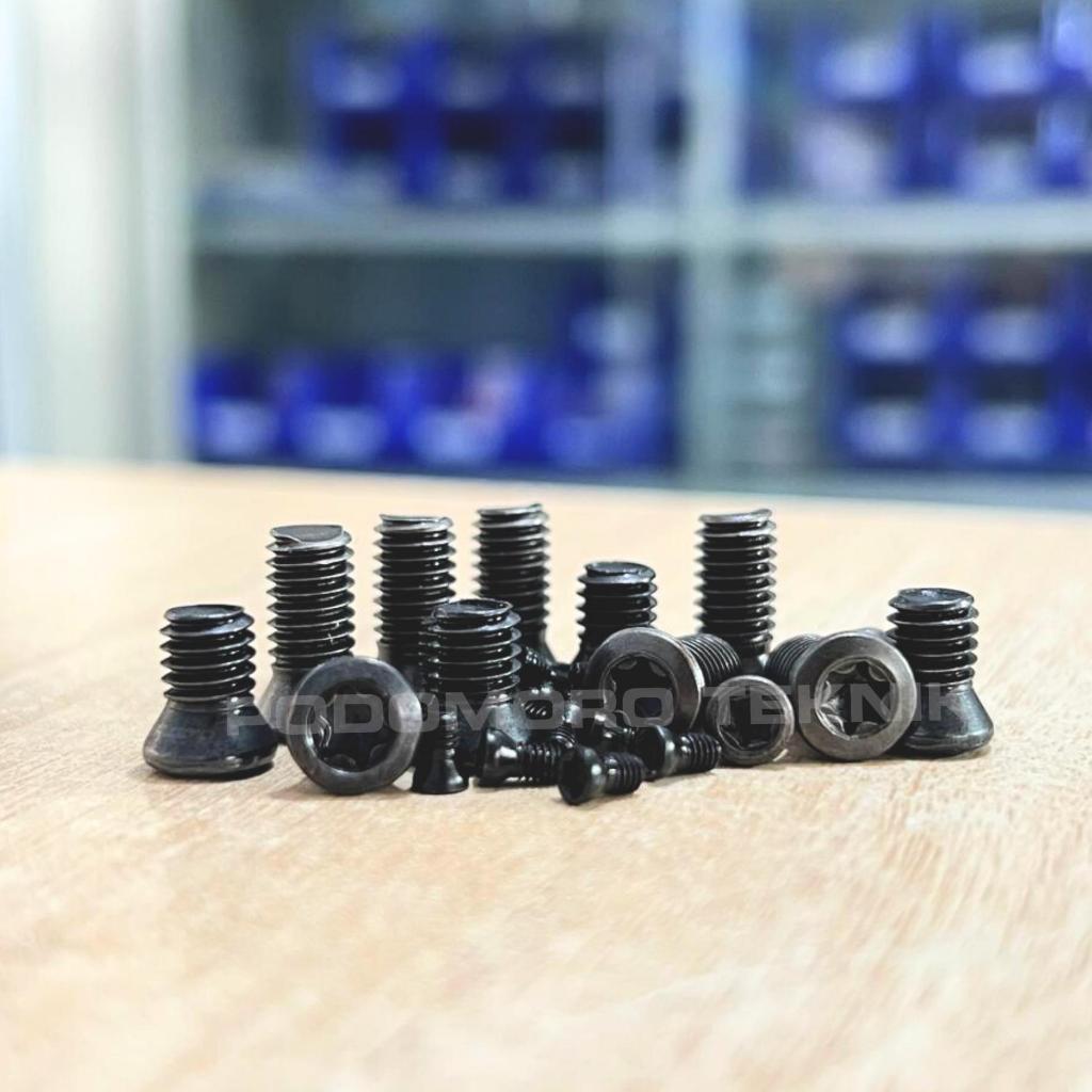 Baut Holder M6X16  Screw Bintang Baut Insert Holder