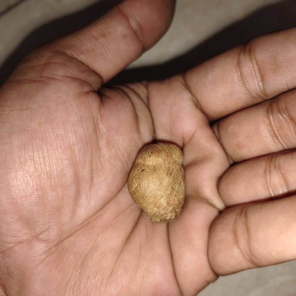 warisan mbah barang kuno mbgnoklor unik langka antik