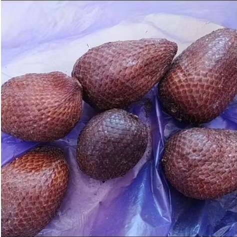 

BUAH SALAK PONDOK ASLI PURBALINGGA FRESH