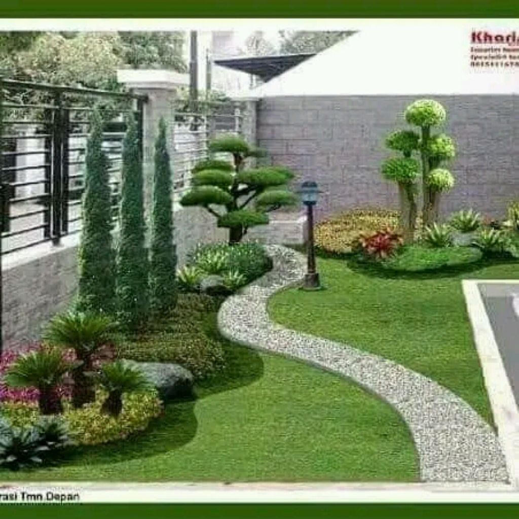 Taman rumput gajah mini / bonsai sikas / bonsai Cemara udang