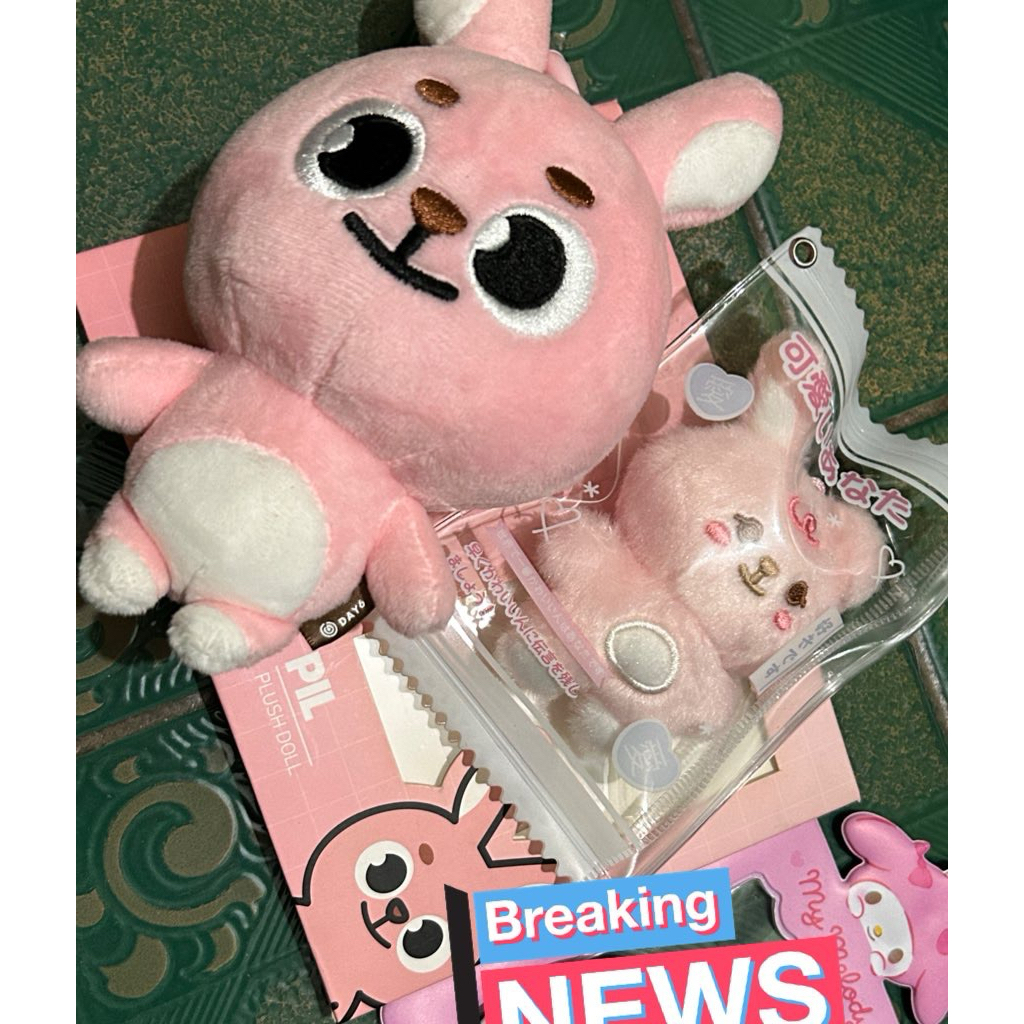 denimalz don 2024 pil 2020