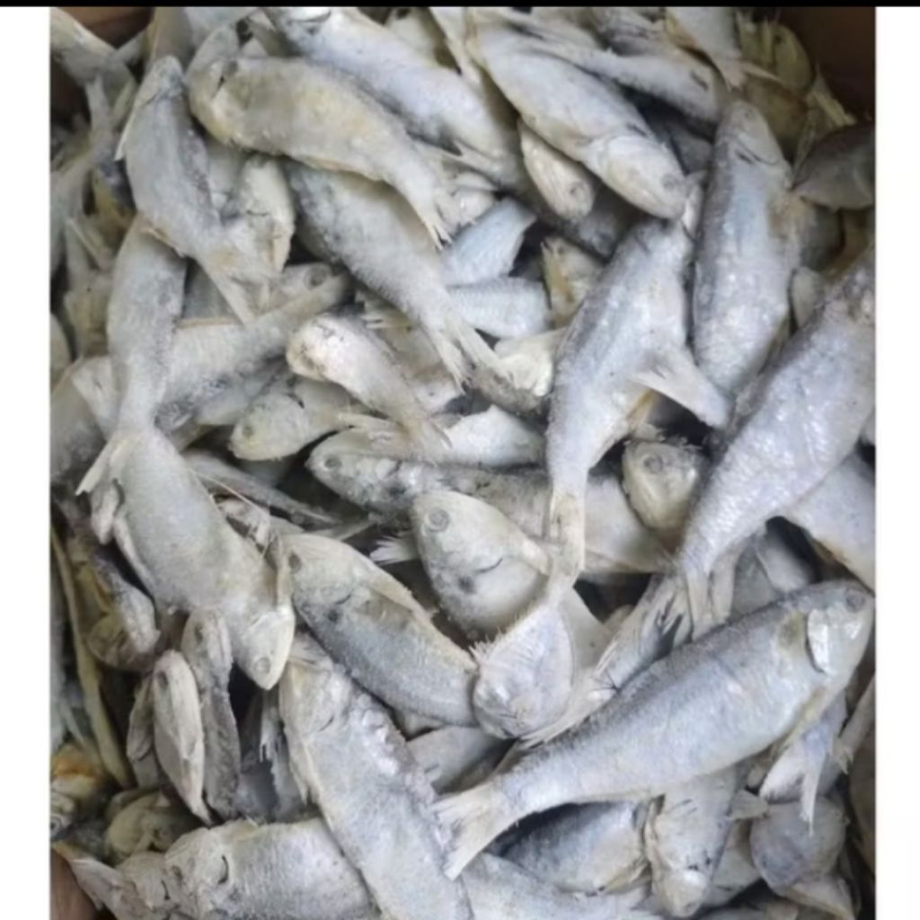

ikan asin bilis putih hasil langsung dari nelayan fres n segar. harga mulai 1kg