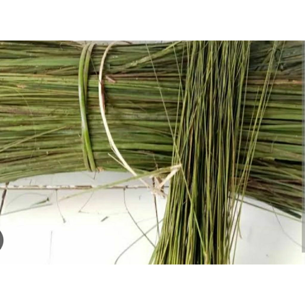 SAPU LIDI DAUN AREN 1 IKAT (DAUN KAWUNG)