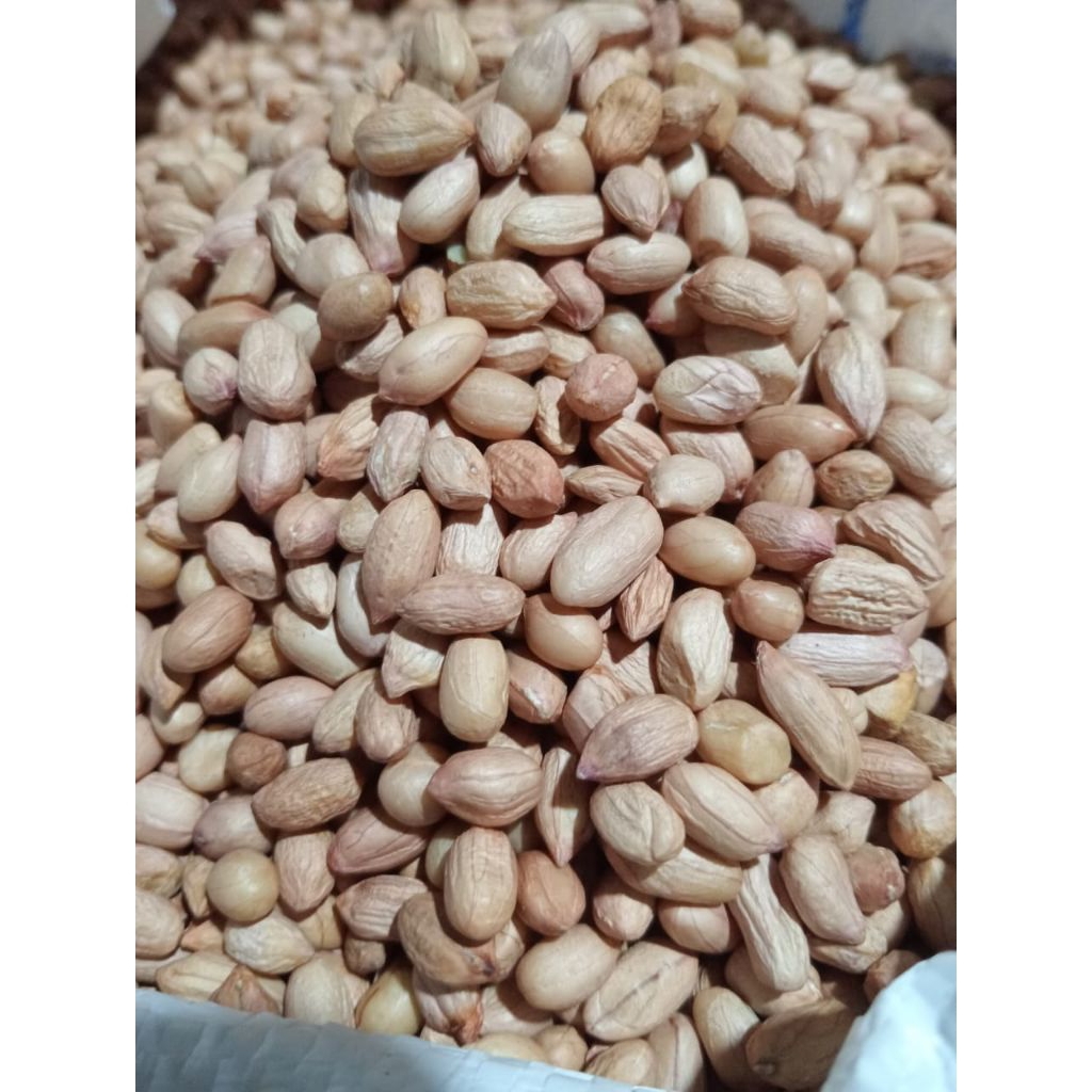 

1 KG KACANG TANAH