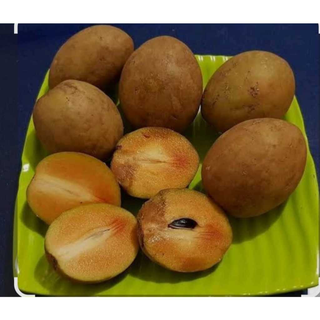 

buah sawo/sawo madu/sawo madu super