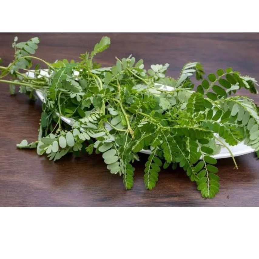 

Tanaman/ Daun Meniran 100Gram