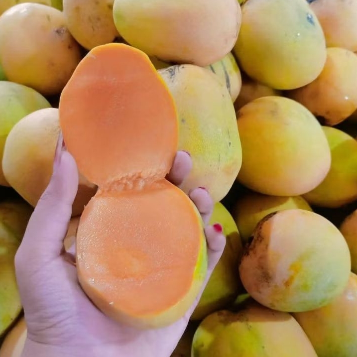 MANGGA GINCU 1kg