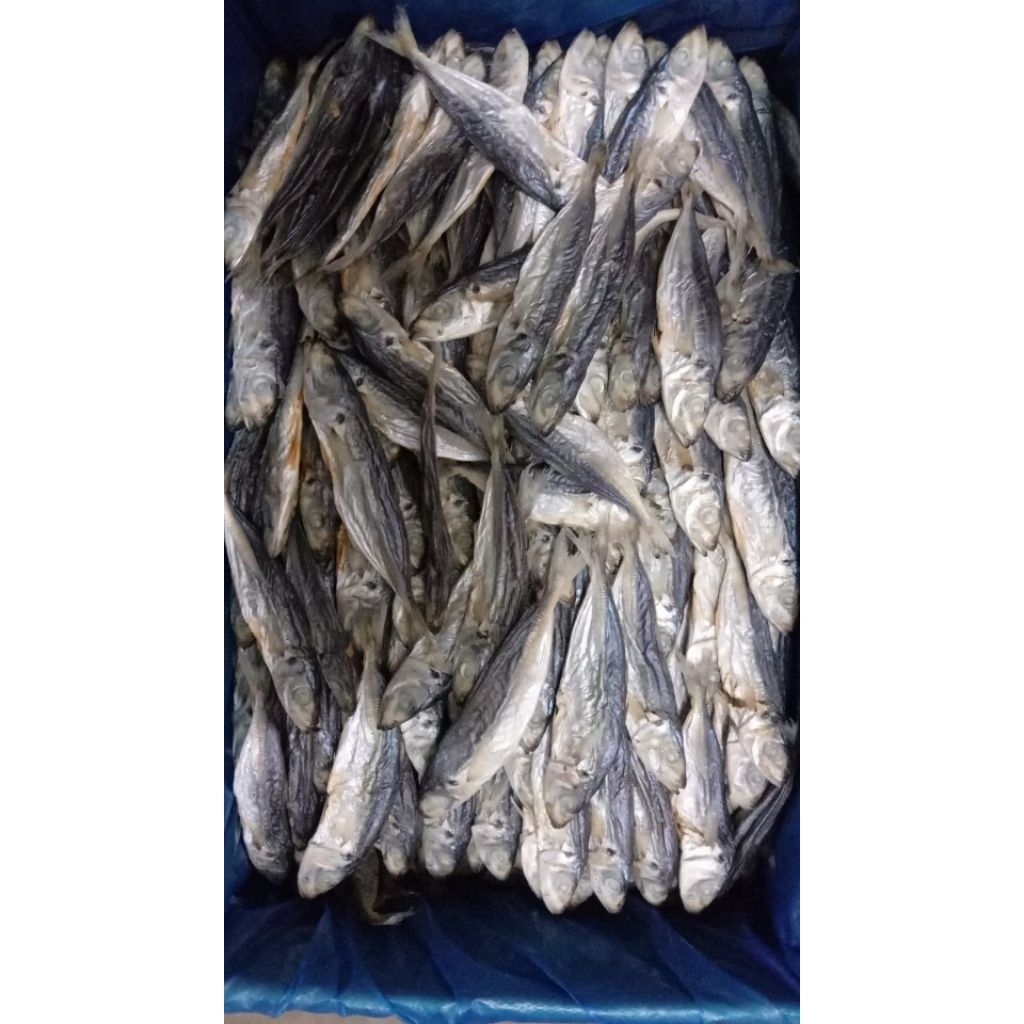 

IKAN OGAK ASIN 100 / 250/ 500 GRAM