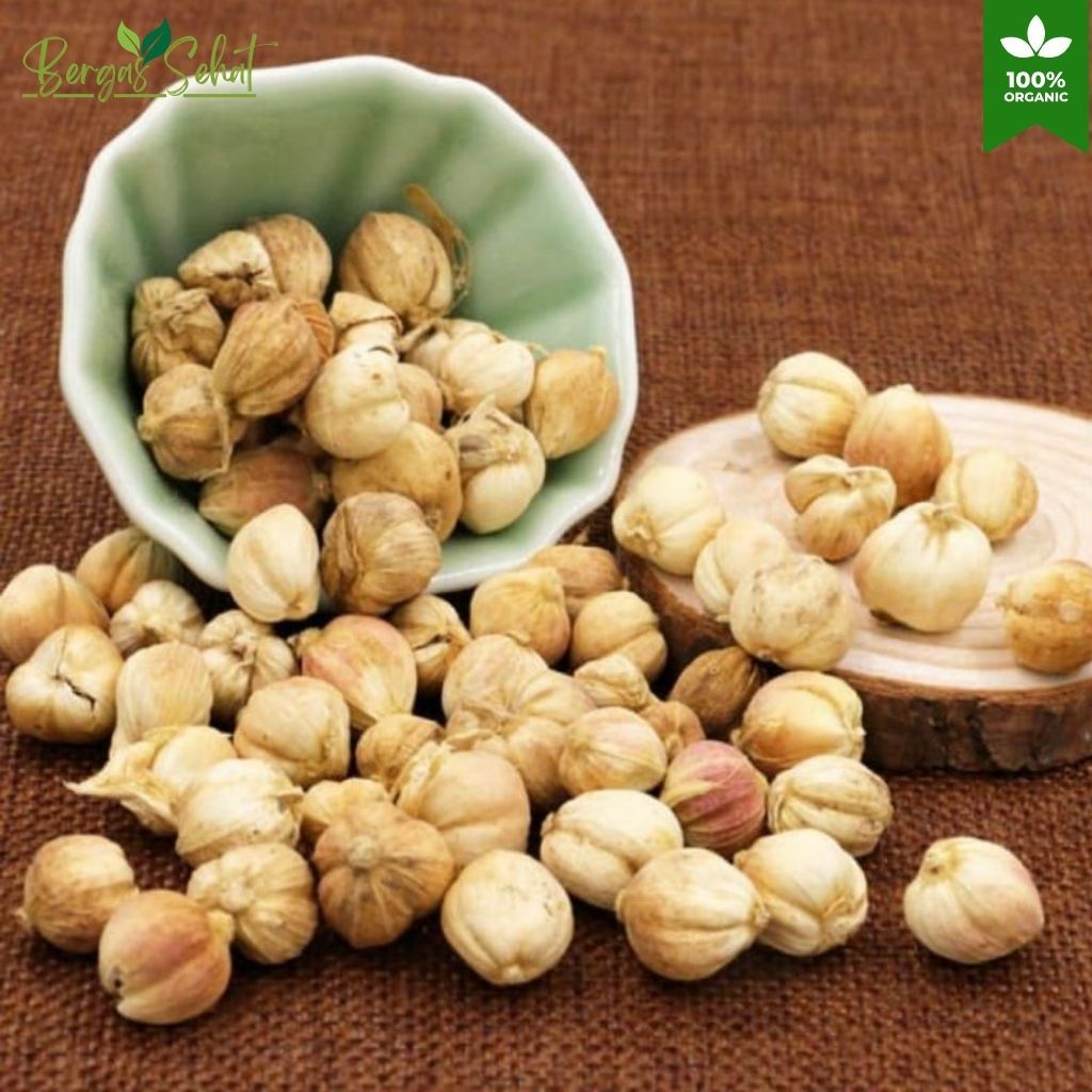 

Kapulaga Super Hibrida Organik Fresh dari Petani