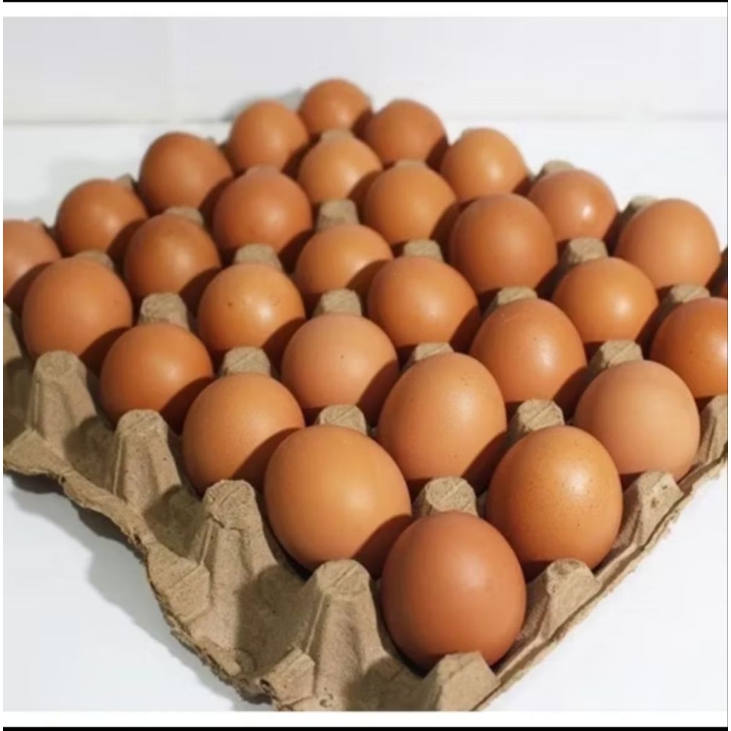 

Telur Negeri Omega Premium (Isi 30 Butir / 1 Trey Kotak)