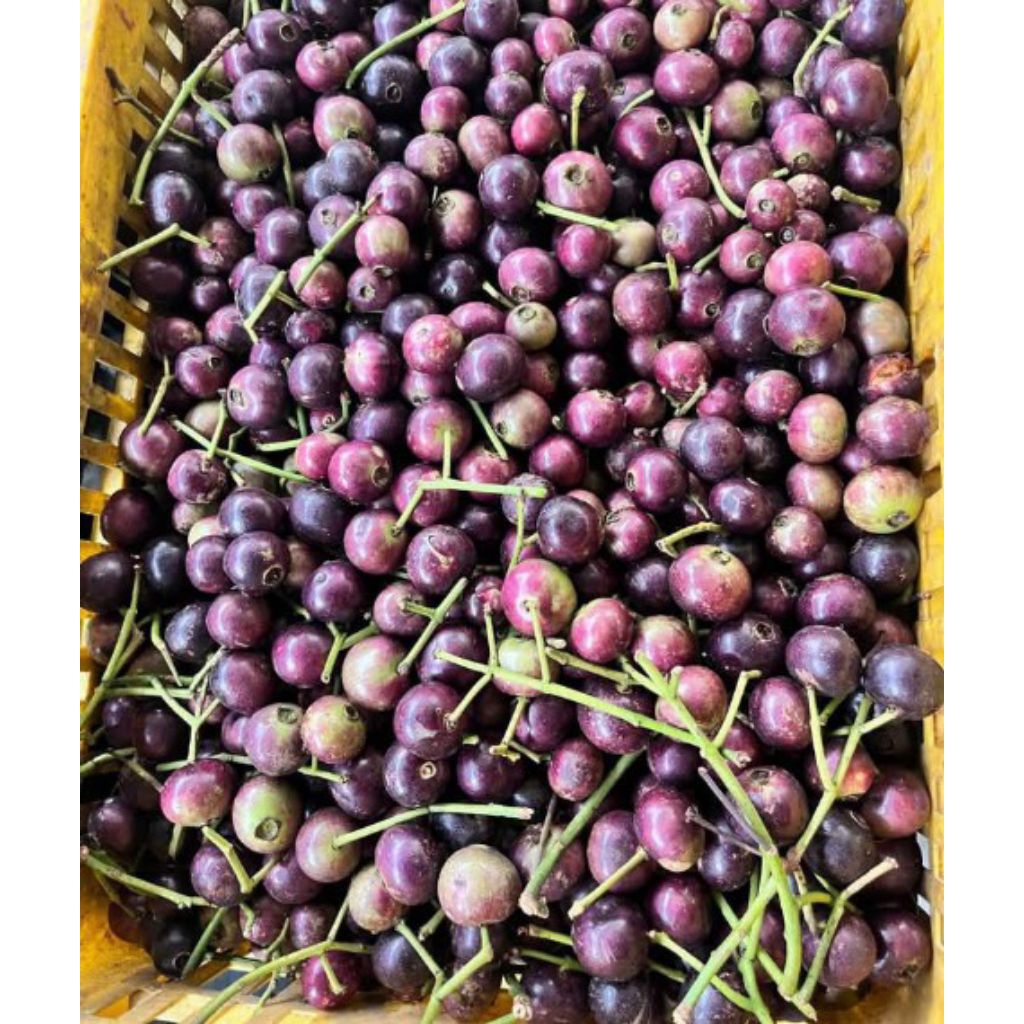 

buah kupa rasa asam manis 1kg