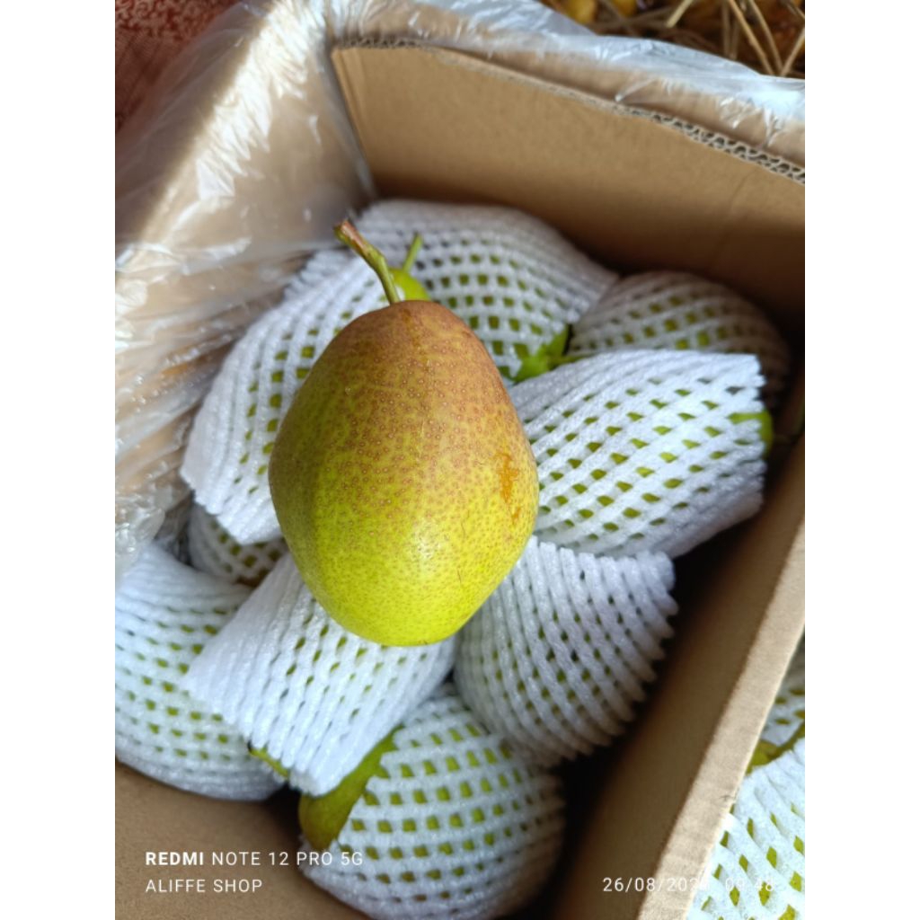 

1 KG Buah Pir Pear Xiangly