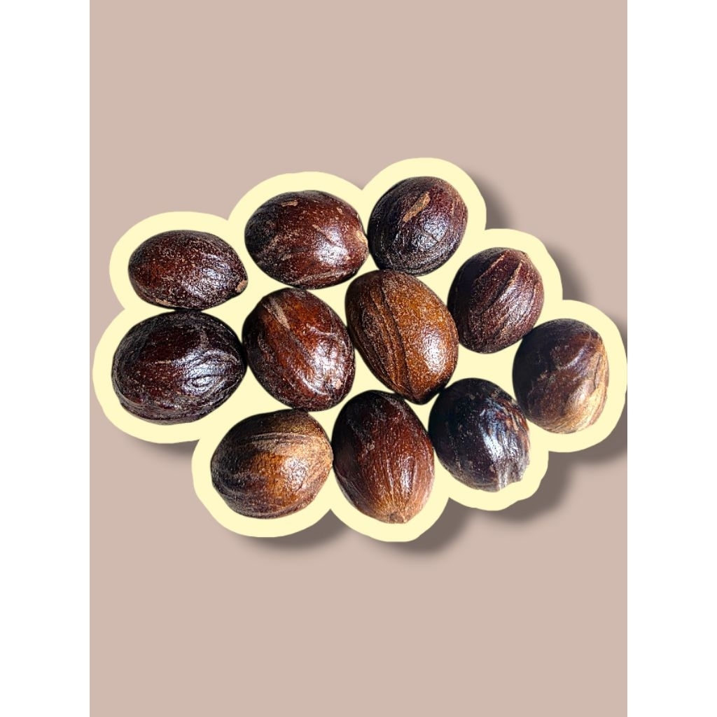 

Biji Pala Kocak Berkualitas