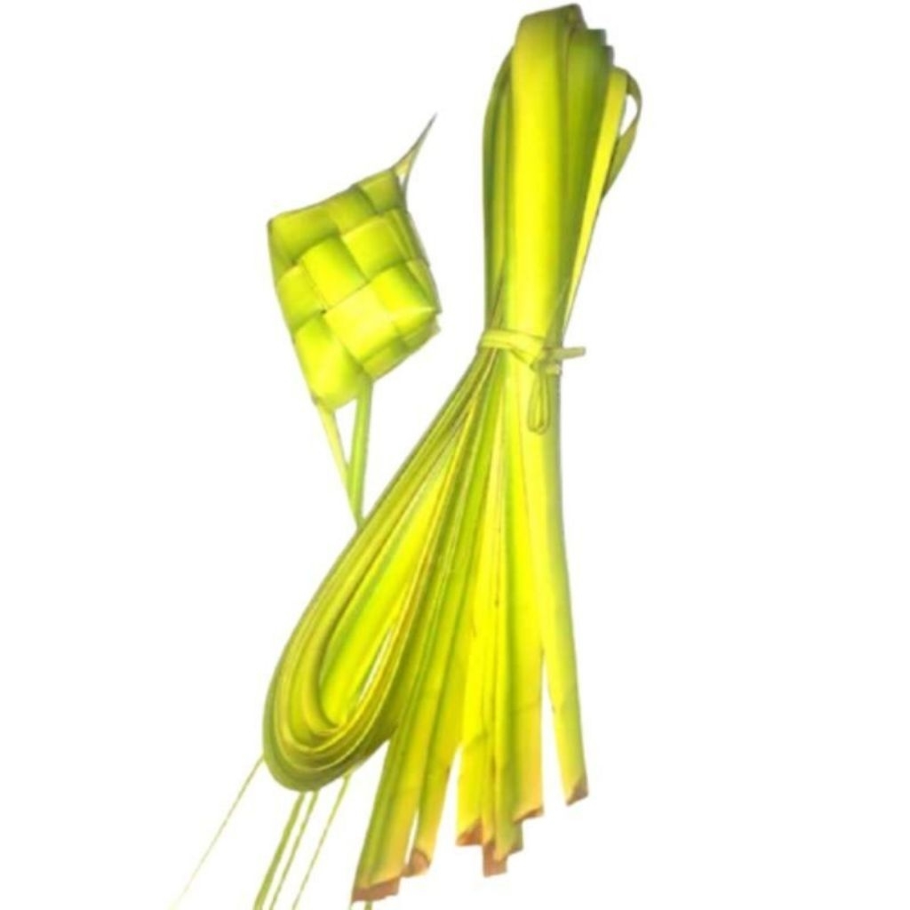 

JANUR DAUN KELAPA MUDA BAHAN KERAJIAN BAHAN KETUPAT PROMO