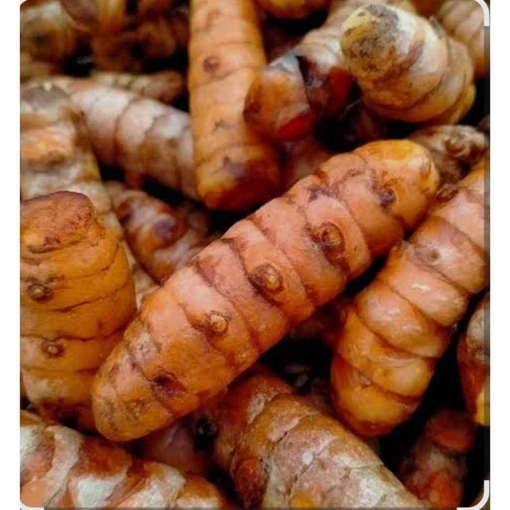 

kunyit merah/kunyit rempah/kunyit bumbu