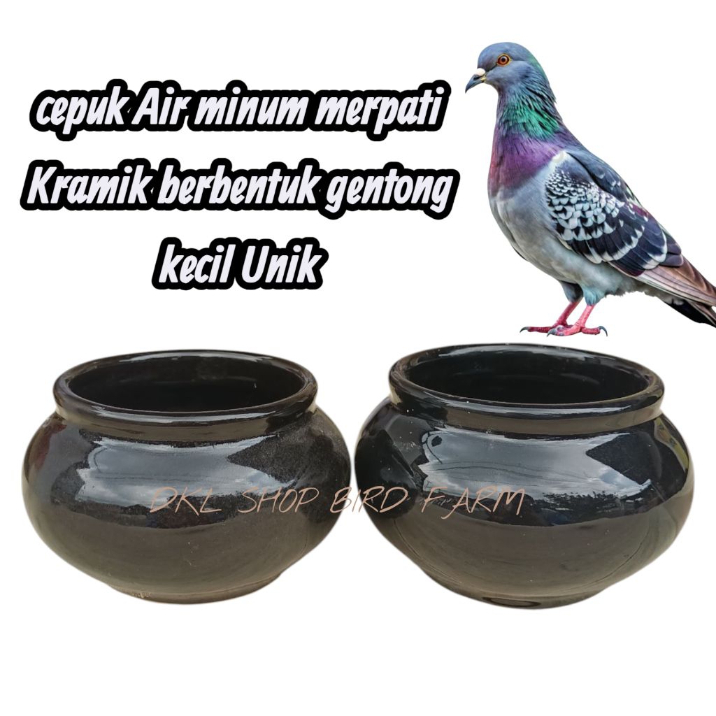 Cepuk/Mangkuk air Minum Burung merpati Kramik bentuk gentong kecil unik
