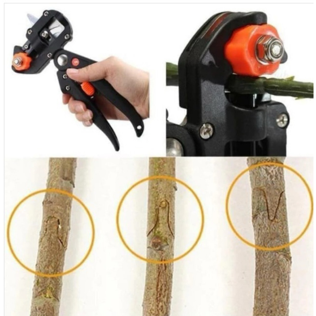 Gunting Okulasi Grafting