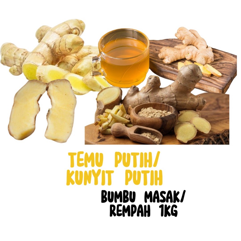 

Bisa COD 1 kg TEMU PUTIH SEGAR CURCUMA ZEDOARIA FRESH KUNYIT KUNIR PUTIH Terlaris