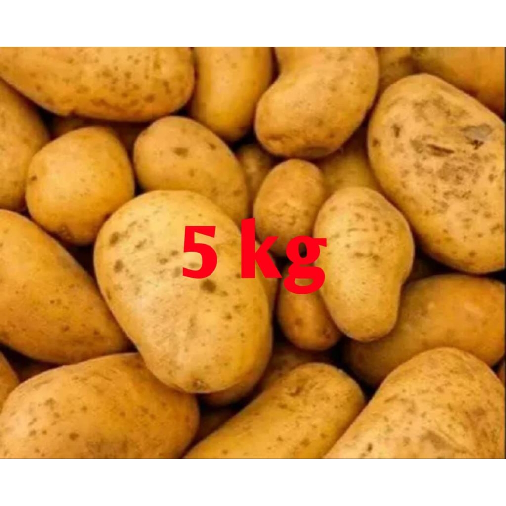 

kentang Dieng 5kg super cocok untuk kentang goreng dll