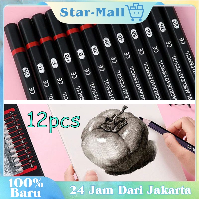 

12pcs Pensil Gambar Set Lengkap / Alat Melukis / Stationery / Kemasan Kotak Timah