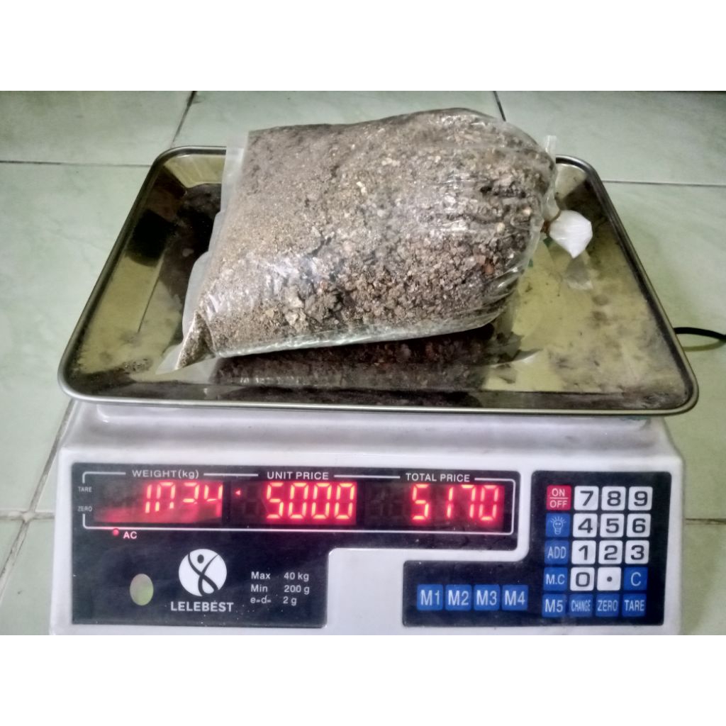 kotoran burung puyuh