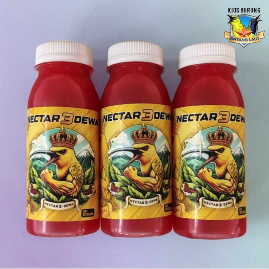 NEXTAR 3 DEWA COCOK UNTUK SOGON & KONIN