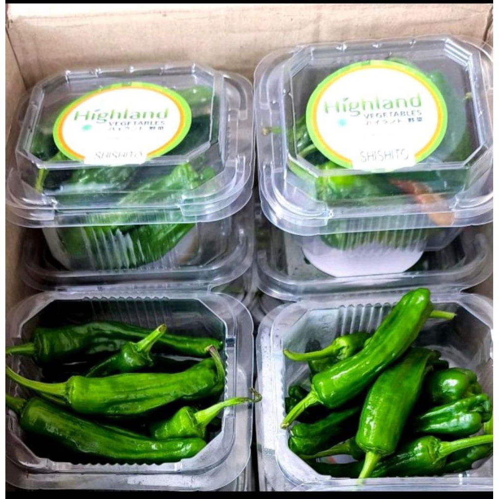 

Highland Cabe Shisito Fresh Import / Cabe Shisito / 1 Pack