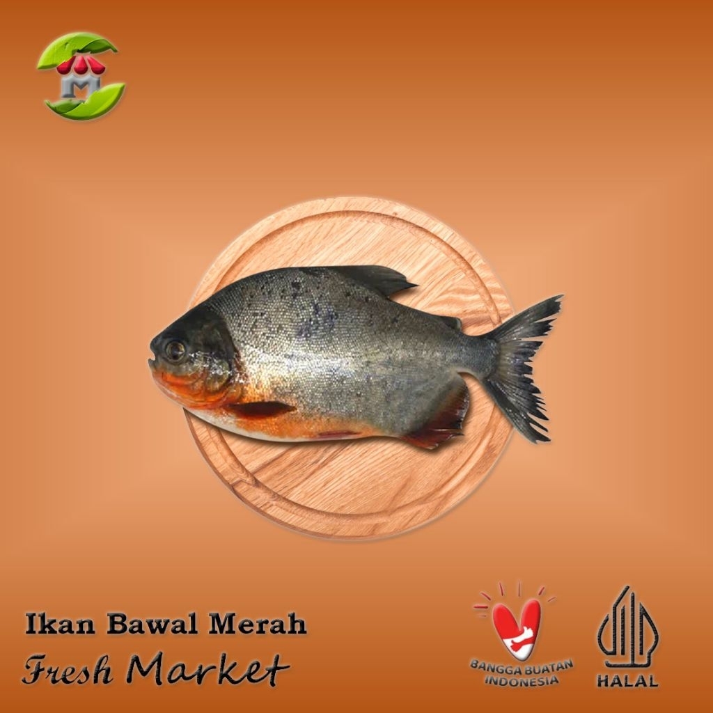 

[Bintaro] Ikan Bawal Merah Tawar 900gr - 1kg