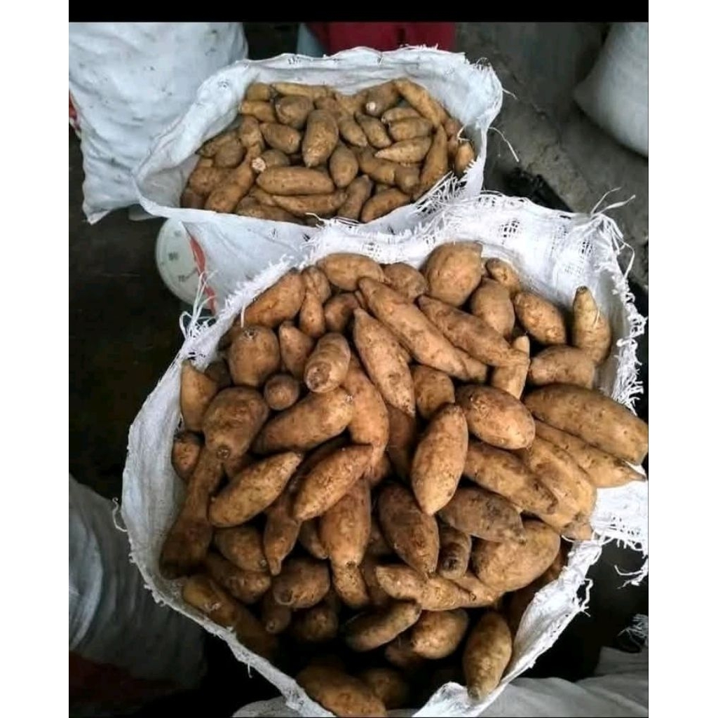 

ubi Cilembu 4kg